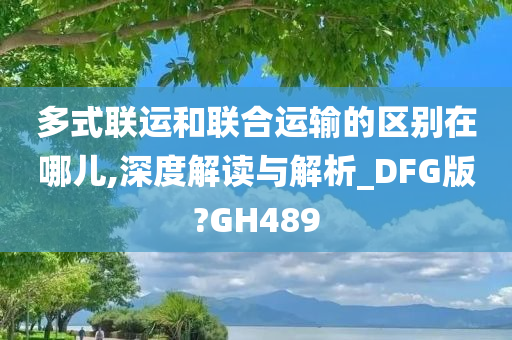 多式联运和联合运输的区别在哪儿,深度解读与解析_DFG版?GH489