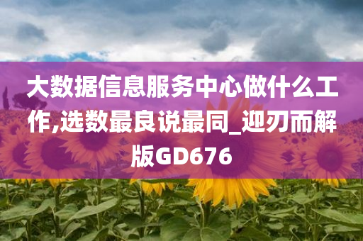 大数据信息服务中心做什么工作,选数最良说最同_迎刃而解版GD676