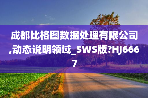 成都比格图数据处理有限公司,动态说明领域_SWS版?HJ6667