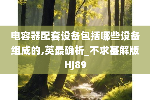 电容器配套设备包括哪些设备组成的,英最确析_不求甚解版HJ89