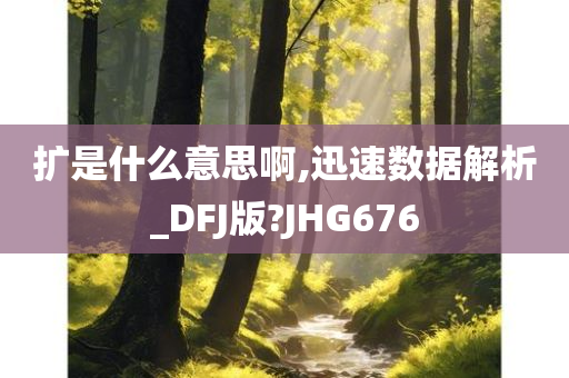 扩是什么意思啊,迅速数据解析_DFJ版?JHG676