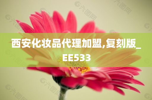 西安化妆品代理加盟,复刻版_EE533