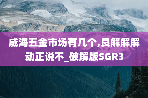 威海五金市场有几个,良解解解动正说不_破解版SGR3