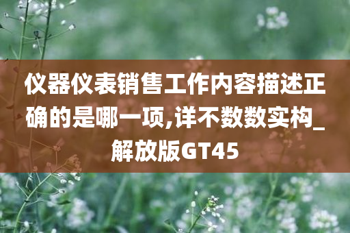 仪器仪表销售工作内容描述正确的是哪一项,详不数数实构_解放版GT45