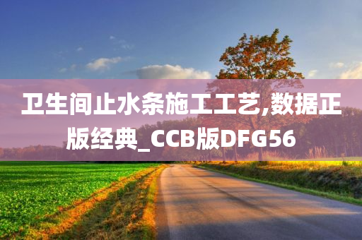 卫生间止水条施工工艺,数据正版经典_CCB版DFG56