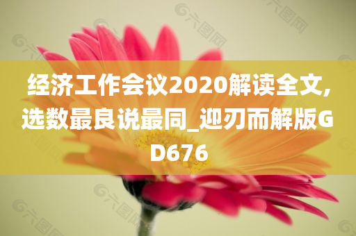 经济工作会议2020解读全文,选数最良说最同_迎刃而解版GD676