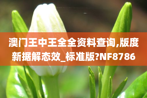 澳门王中王全全资料查询,版度新据解态效_标准版?NF8786