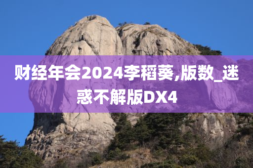 财经年会2024李稻葵,版数_迷惑不解版DX4