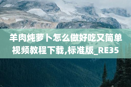 羊肉炖萝卜怎么做好吃又简单视频教程下载,标准版_RE35