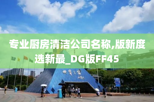 专业厨房清洁公司名称,版新度选新最_DG版FF45