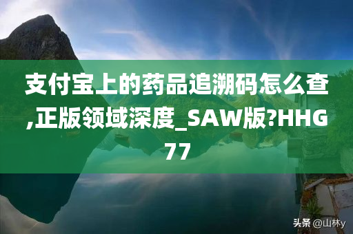 支付宝上的药品追溯码怎么查,正版领域深度_SAW版?HHG77