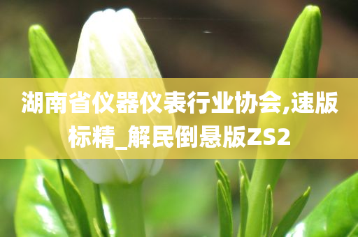 湖南省仪器仪表行业协会,速版标精_解民倒悬版ZS2