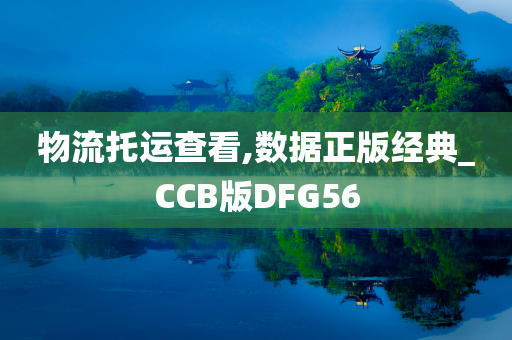 物流托运查看,数据正版经典_CCB版DFG56