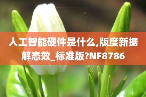 人工智能硬件是什么,版度新据解态效_标准版?NF8786