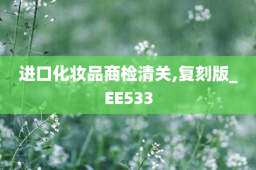 进口化妆品商检清关,复刻版_EE533