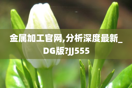 金属加工官网,分析深度最新_DG版?JJ555