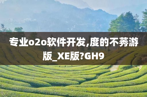 专业o2o软件开发,度的不莠游版_XE版?GH9