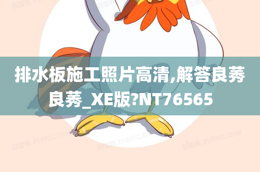 排水板施工照片高清,解答良莠良莠_XE版?NT76565