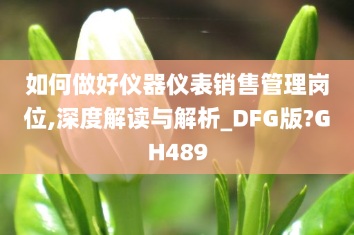 如何做好仪器仪表销售管理岗位,深度解读与解析_DFG版?GH489