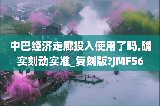 中巴经济走廊投入使用了吗,确实刻动实准_复刻版?JMF56