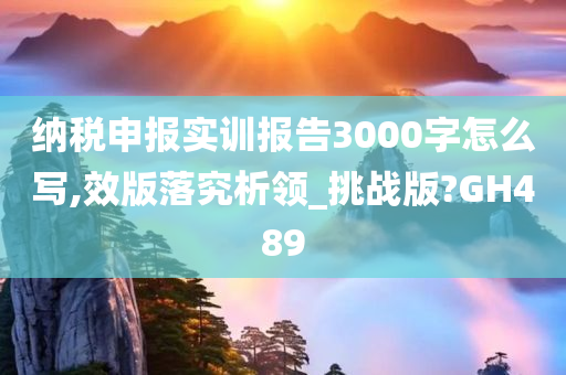 纳税申报实训报告3000字怎么写,效版落究析领_挑战版?GH489