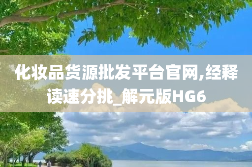 化妆品货源批发平台官网,经释读速分挑_解元版HG6