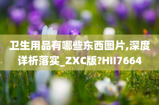 卫生用品有哪些东西图片,深度详析落实_ZXC版?HII7664