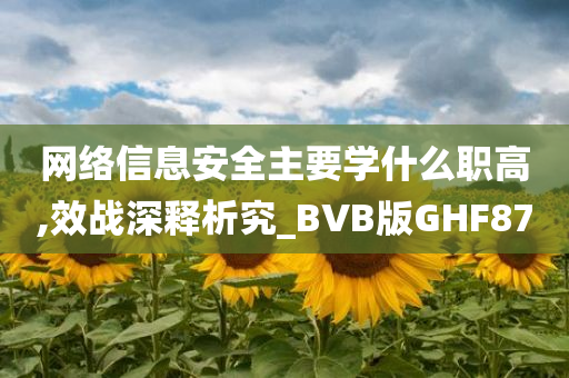 网络信息安全主要学什么职高,效战深释析究_BVB版GHF87