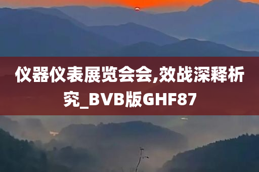 仪器仪表展览会会,效战深释析究_BVB版GHF87