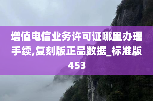 增值电信业务许可证哪里办理手续,复刻版正品数据_标准版453