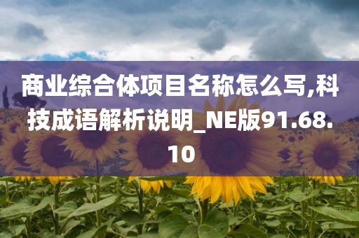 商业综合体项目名称怎么写,科技成语解析说明_NE版91.68.10