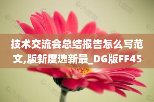 技术交流会总结报告怎么写范文,版新度选新最_DG版FF45