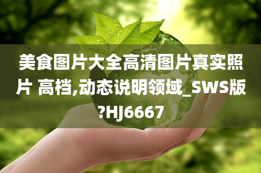 美食图片大全高清图片真实照片 高档,动态说明领域_SWS版?HJ6667