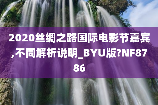 2020丝绸之路国际电影节嘉宾,不同解析说明_BYU版?NF8786