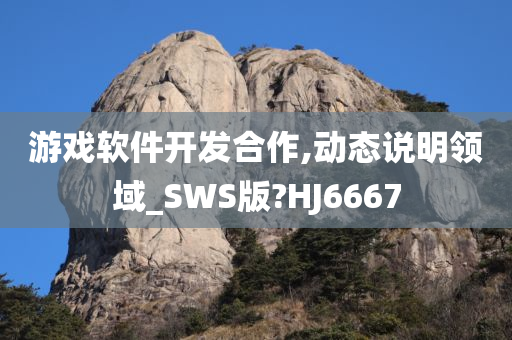 游戏软件开发合作,动态说明领域_SWS版?HJ6667