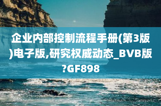 企业内部控制流程手册(第3版)电子版,研究权威动态_BVB版?GF898