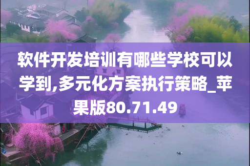 软件开发培训有哪些学校可以学到,多元化方案执行策略_苹果版80.71.49