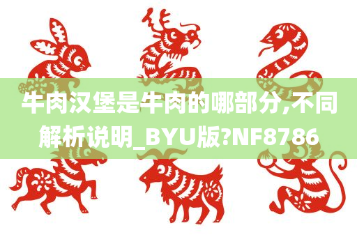 牛肉汉堡是牛肉的哪部分,不同解析说明_BYU版?NF8786