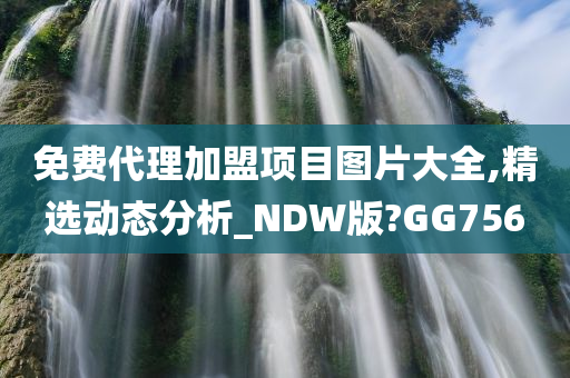 免费代理加盟项目图片大全,精选动态分析_NDW版?GG756