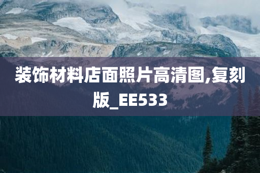 装饰材料店面照片高清图,复刻版_EE533