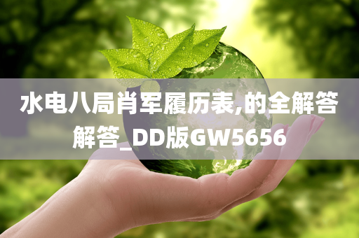 水电八局肖军履历表,的全解答解答_DD版GW5656