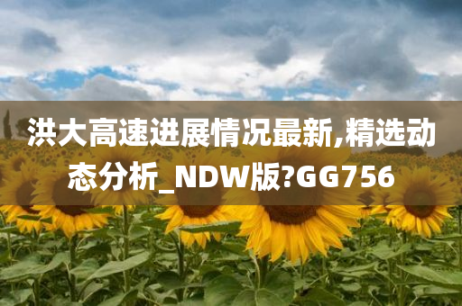 洪大高速进展情况最新,精选动态分析_NDW版?GG756