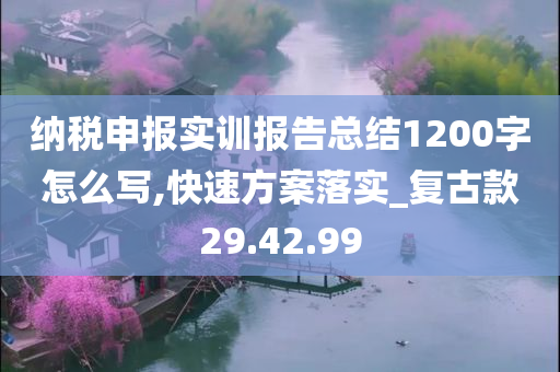 纳税申报实训报告总结1200字怎么写,快速方案落实_复古款29.42.99