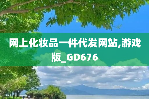 网上化妆品一件代发网站,游戏版_GD676