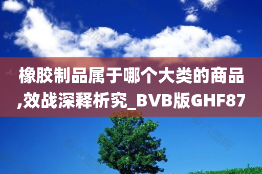 橡胶制品属于哪个大类的商品,效战深释析究_BVB版GHF87