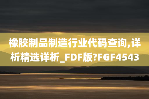 橡胶制品制造行业代码查询,详析精选详析_FDF版?FGF4543