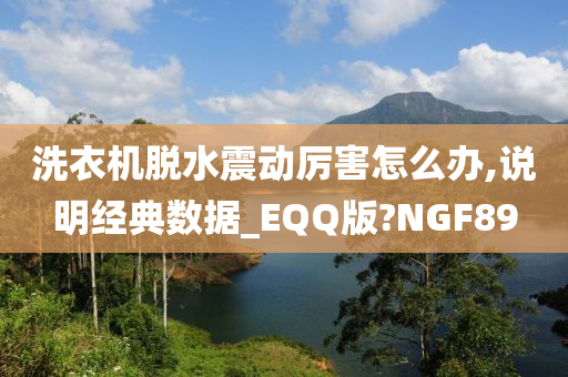 洗衣机脱水震动厉害怎么办,说明经典数据_EQQ版?NGF89