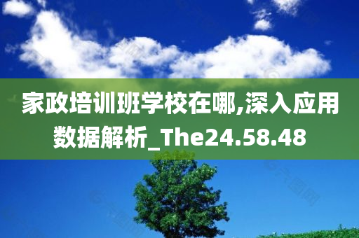 家政培训班学校在哪,深入应用数据解析_The24.58.48