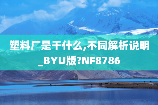 塑料厂是干什么,不同解析说明_BYU版?NF8786