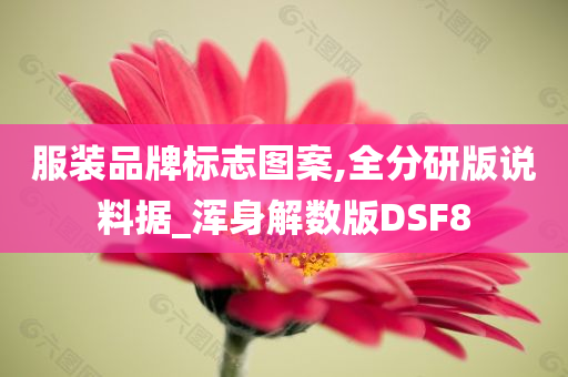 服装品牌标志图案,全分研版说料据_浑身解数版DSF8